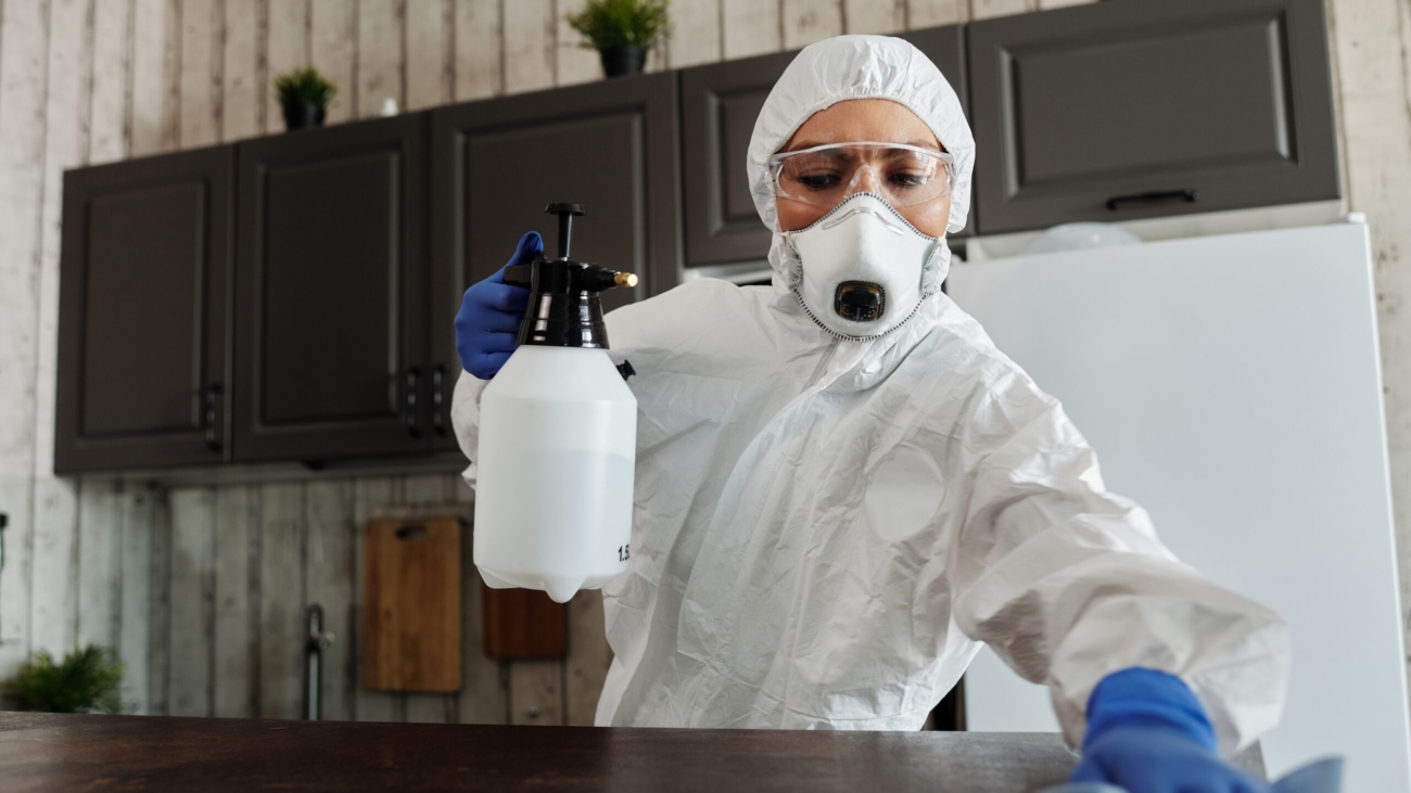 pexels-matilda-wormwood-4099462